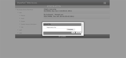 D-Link DIR-826L - Funkcje informacyjne i administracyjne
